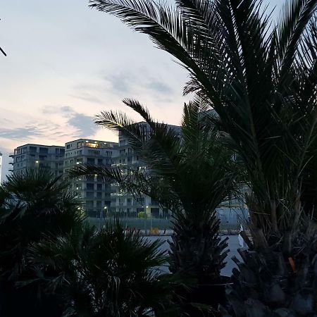 The Horse - De Silva Residence Mamaia Bagian luar foto